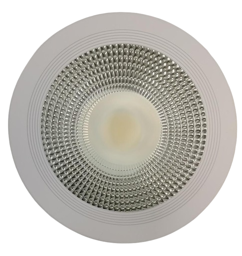 30W Dyna-Glo LED Down Light