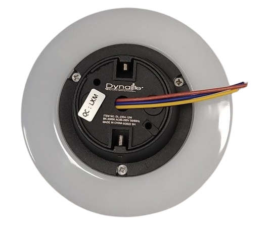 12W LED Wall Light (DL-2354)